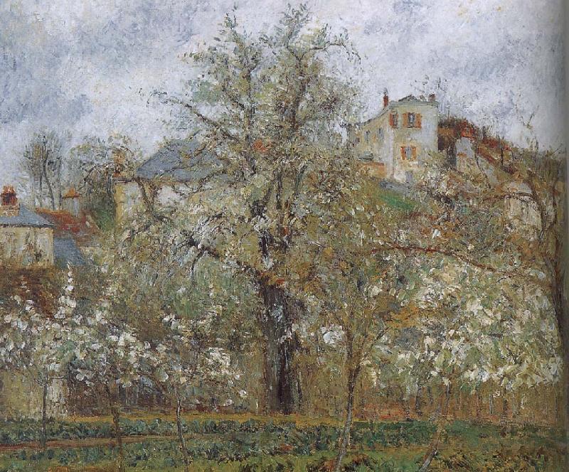 Camille Pissarro spring flowering gardens and trees Spain oil painting art